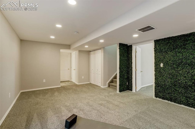 basement featuring carpet