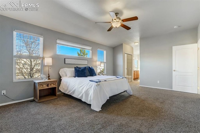 carpeted bedroom with ceiling fan, multiple windows, connected bathroom, and a closet