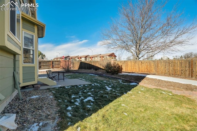 view of yard featuring a patio