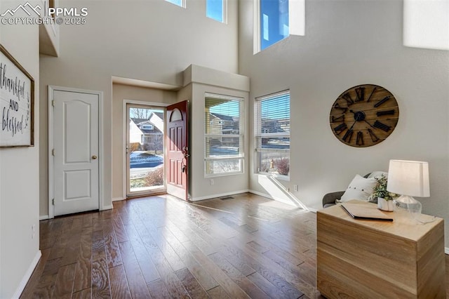 entryway featuring a healthy amount of sunlight, wood-type flooring, and a high ceiling