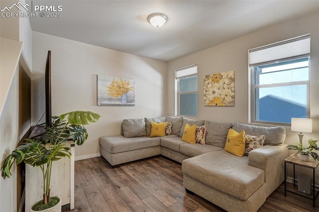 living room with wood-type flooring and a healthy amount of sunlight