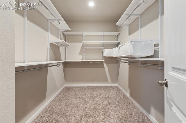 spacious closet with light carpet