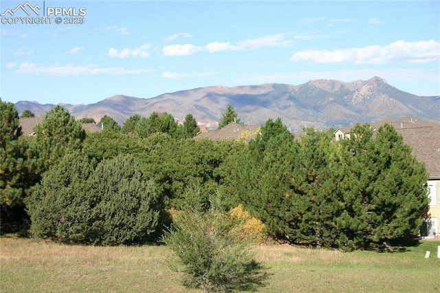 view of mountain feature