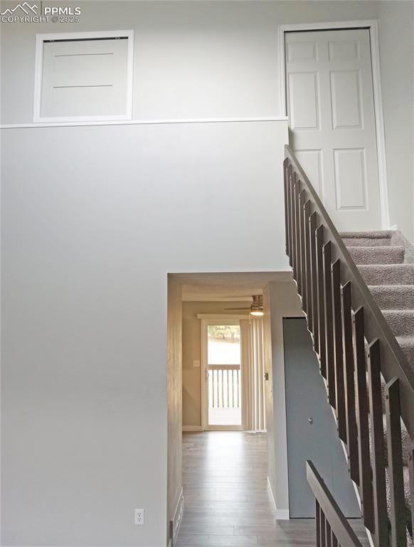 staircase featuring hardwood / wood-style flooring