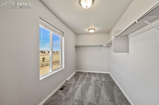 spacious closet featuring carpet