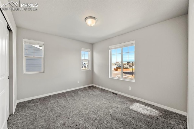 spare room featuring carpet floors