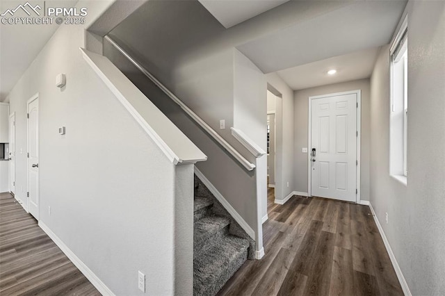 entrance foyer featuring dark wood-type flooring