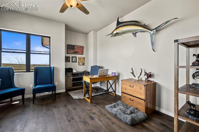 office space with ceiling fan and dark hardwood / wood-style floors