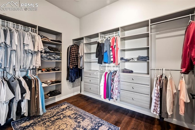 spacious closet featuring dark hardwood / wood-style floors