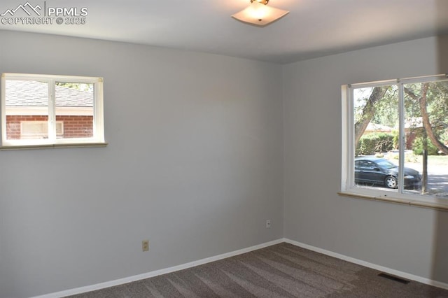 empty room featuring carpet and a wealth of natural light