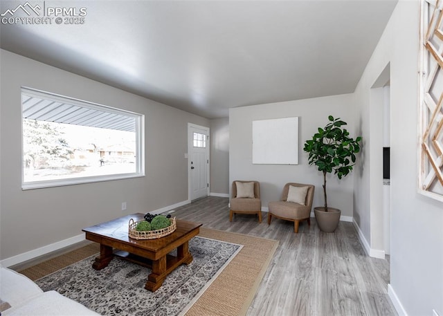 living room with light wood-type flooring