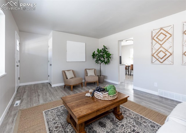 living room with wood-type flooring