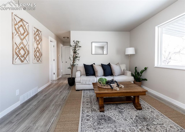 living room with hardwood / wood-style floors