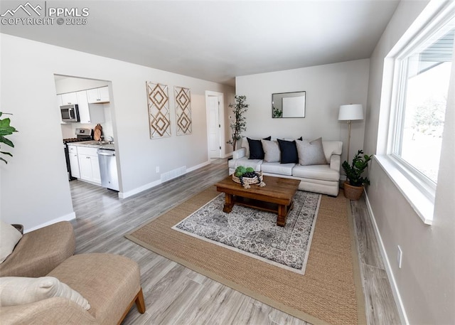 living room featuring light hardwood / wood-style flooring