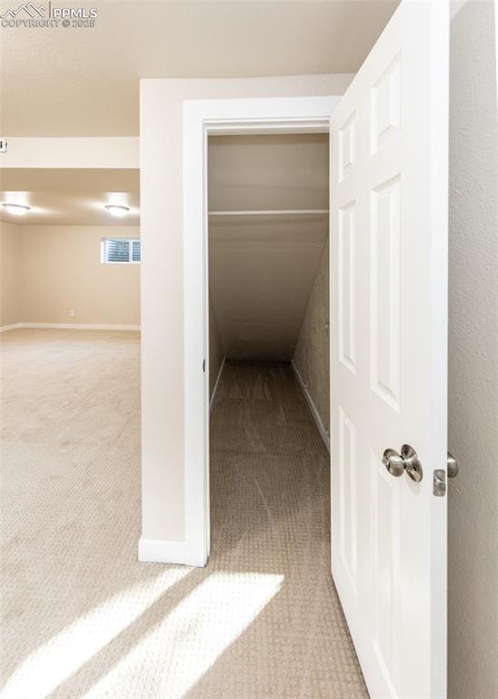 hallway featuring carpet floors