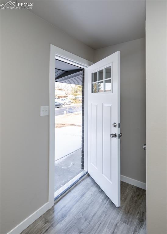 foyer entrance with hardwood / wood-style flooring