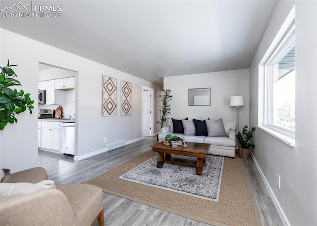 living room featuring hardwood / wood-style floors