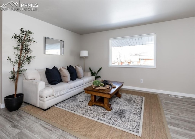 living room with hardwood / wood-style flooring