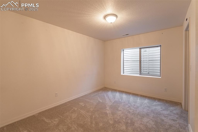 empty room with carpet flooring and a textured ceiling