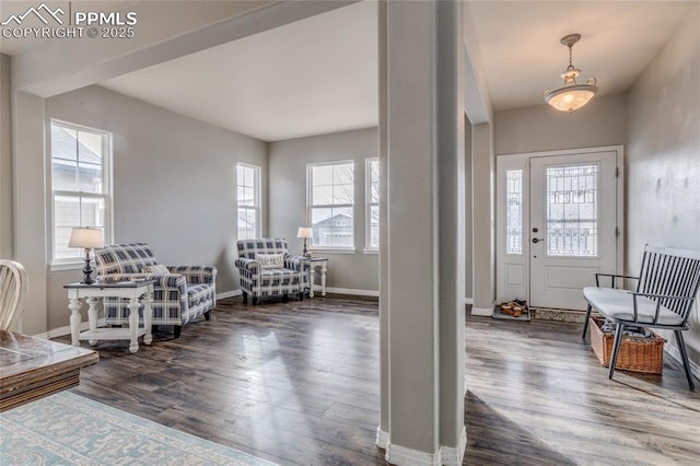 foyer with dark hardwood / wood-style floors and a healthy amount of sunlight