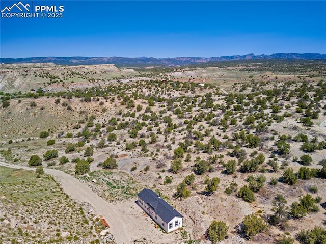 birds eye view of property with a mountain view