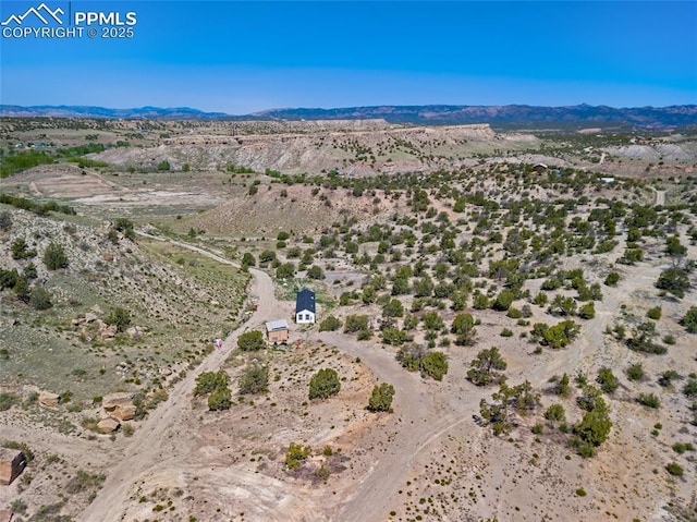 birds eye view of property featuring a mountain view