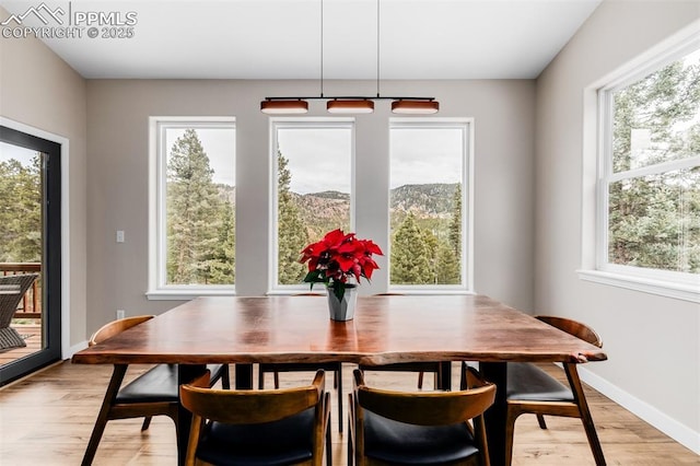 dining room featuring a healthy amount of sunlight and light hardwood / wood-style flooring