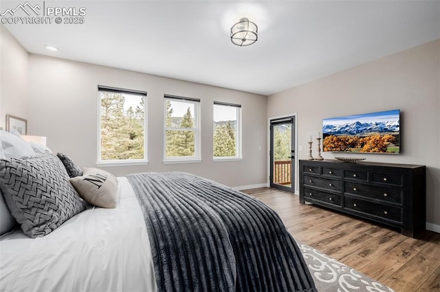 bedroom featuring access to exterior, light hardwood / wood-style flooring, and multiple windows