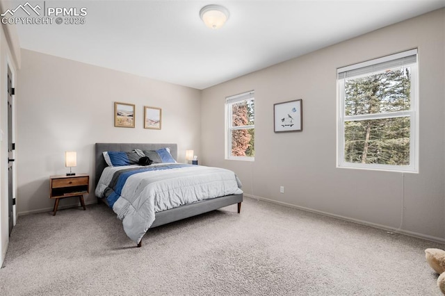 carpeted bedroom with multiple windows