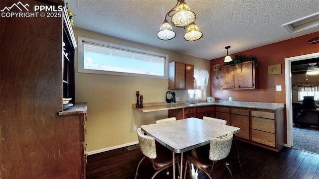 kitchen with pendant lighting, a healthy amount of sunlight, and dark wood-type flooring