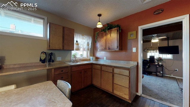 kitchen featuring dark hardwood / wood-style flooring, sink, decorative light fixtures, and a textured ceiling