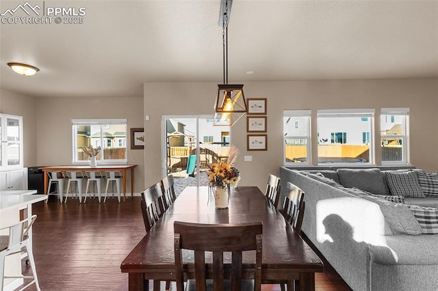 dining space featuring dark hardwood / wood-style floors