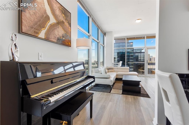 misc room featuring floor to ceiling windows, light hardwood / wood-style floors, and a healthy amount of sunlight