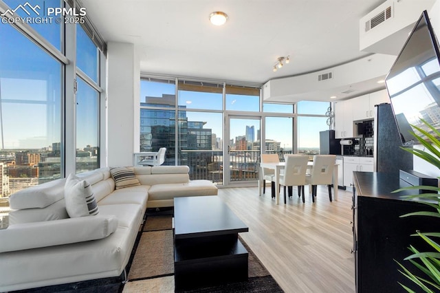 living room featuring expansive windows, light wood-type flooring, and a healthy amount of sunlight