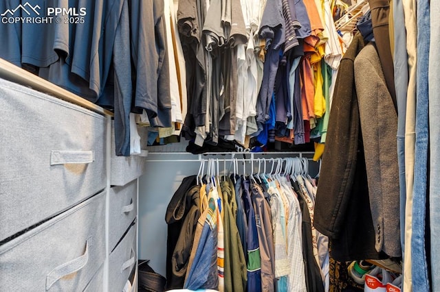 view of spacious closet