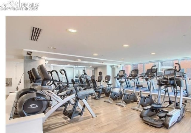 workout area featuring expansive windows and light hardwood / wood-style flooring