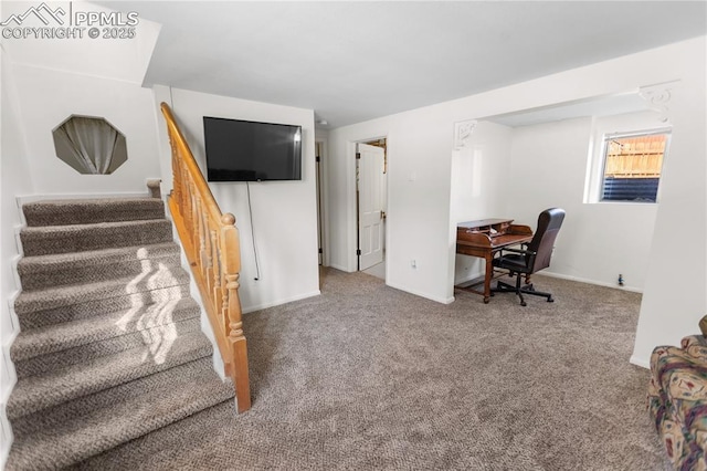 home office with carpet flooring