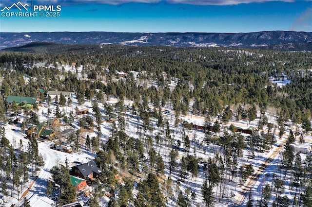 snowy aerial view featuring a mountain view