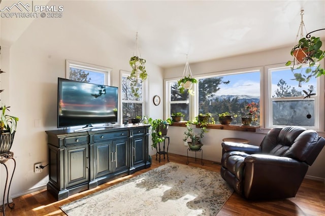 living room with dark hardwood / wood-style floors