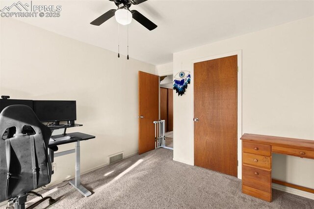 workout area featuring carpet floors and ceiling fan