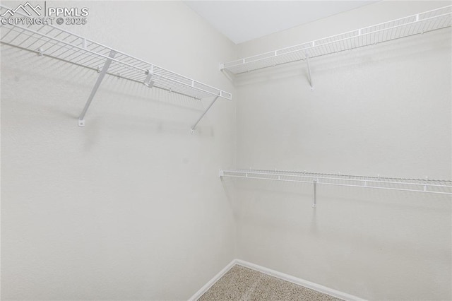 walk in closet featuring carpet floors