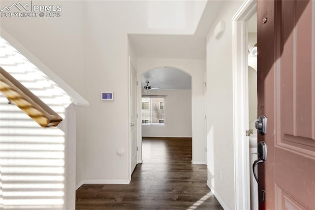 entryway featuring ceiling fan and dark hardwood / wood-style floors