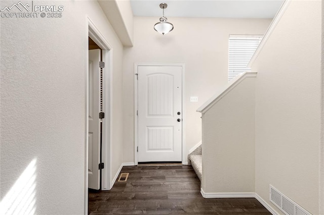 entryway featuring dark wood-type flooring