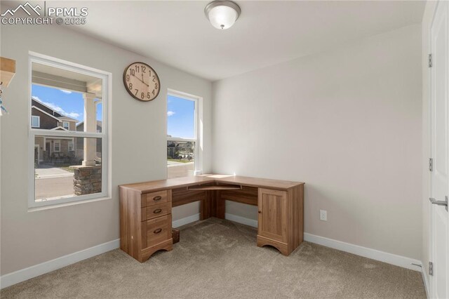 office area featuring light colored carpet