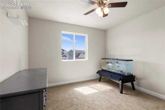 miscellaneous room featuring ceiling fan and carpet floors