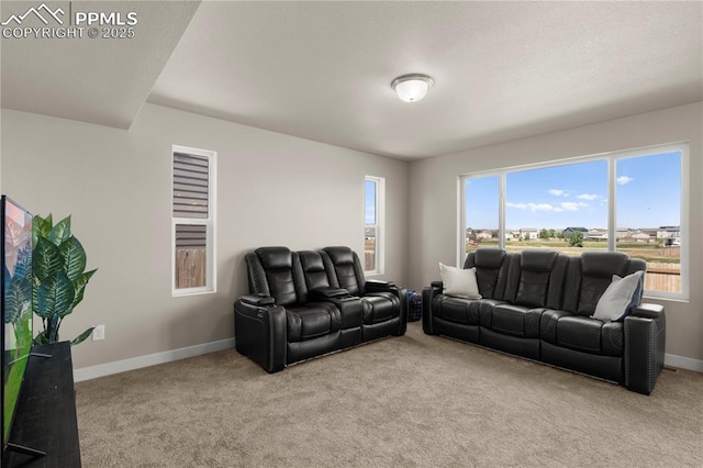 living room featuring light carpet