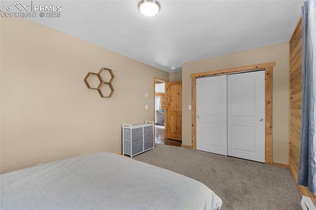 bedroom with a closet, carpet, and a baseboard heating unit