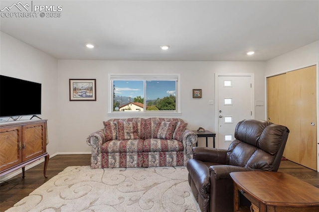 living room with dark wood-type flooring