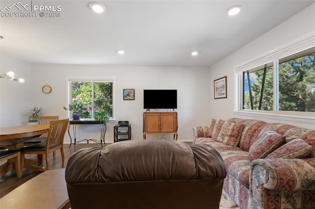 living room featuring hardwood / wood-style floors