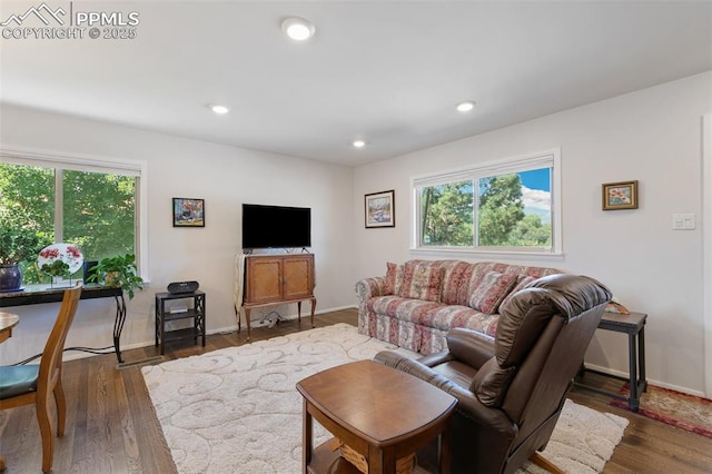 living room featuring dark hardwood / wood-style floors